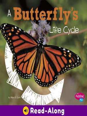 cover image of A Butterfly's Life Cycle